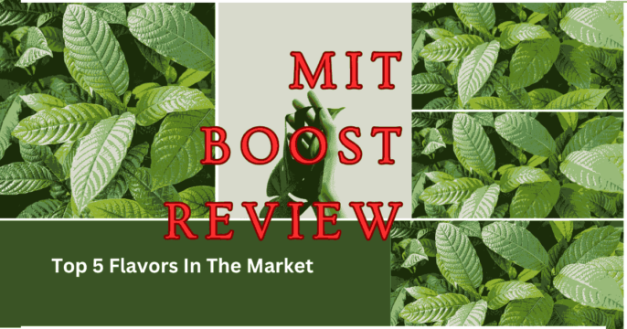 MIT Bost Review Top 5 Flavors In The Market